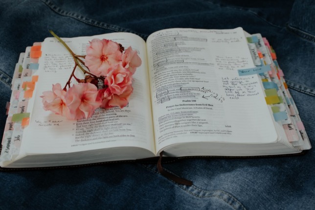 単語帳と花